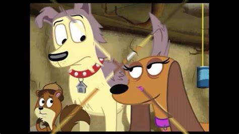 Stream cartoon pound puppies 2010 show series online with hq high quality. Pound Puppies - Lucky and Strudel - Perfect Two - YouTube