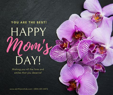 To All The Moms Happy Moms Day Happy Mom Day Happy Mom Mom Day