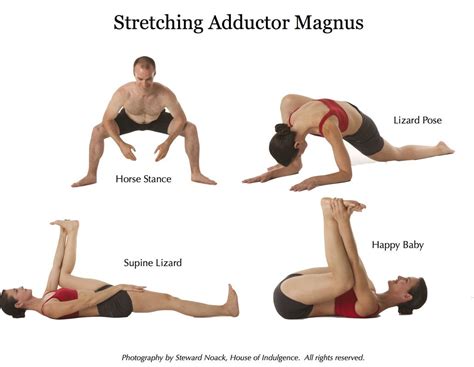 Adductor Muscle Stretches