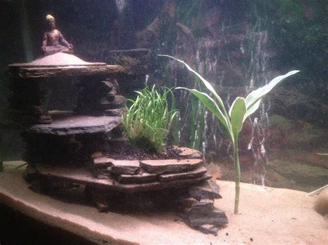 Cost around $10 for the 2. My DIY slate cave! - Aquarium Advice - Aquarium Forum Community | Diy fish tank, Aquarium ...