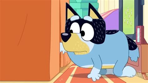 Bluey Season 3 Episode 38 Cubby Watch Cartoons Online Watch Anime