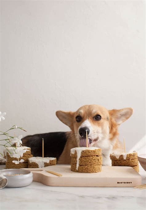 This recipe makes a small cake in a serving size suitable for your dog and a friend. Grain-Free Dog Cake Recipe - A Cozy Kitchen