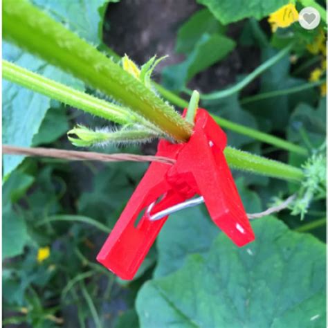 Hight Quality Plant Grafting Clip Double Clips Cucumber Plastic