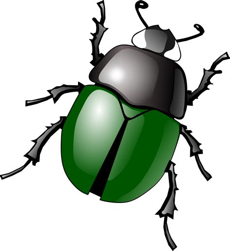 Clipart Of Insects And Bugs 20 Free Cliparts Download Images On