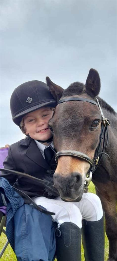 Little Tigers Bank Farm Riding School Learn To Ride In Stockport