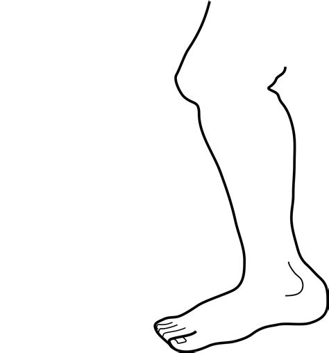 Clipart - leg-b-w