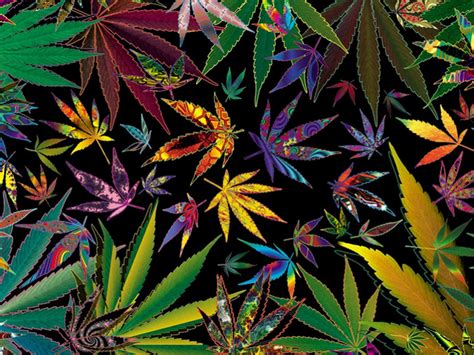 What more is there to say about this weed wallpaper. 50+ Trippy Stoner Wallpaper on WallpaperSafari