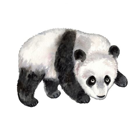 Premium Vector Panda Watercolor Animal