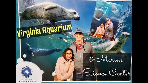 Virginia Aquarium Virginia Beach Va Youtube