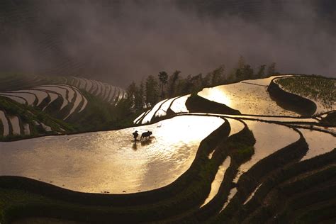 Catch An Unforgettable Sunset At The Rice Terraces Of Longsheng In