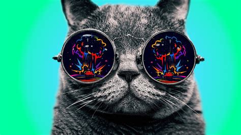Trippy Animals Wallpapers Top Free Trippy Animals Backgrounds
