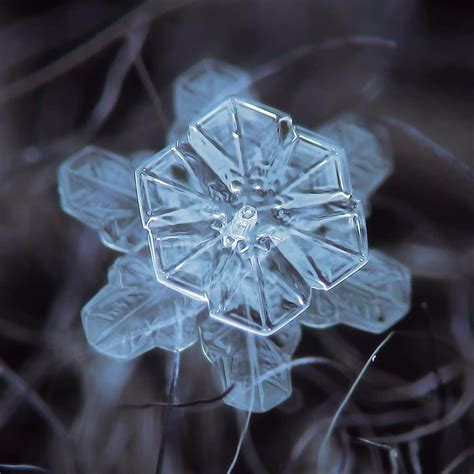 Алексей Клятов Snowflake Macro в Instagram Small Snowflake Of