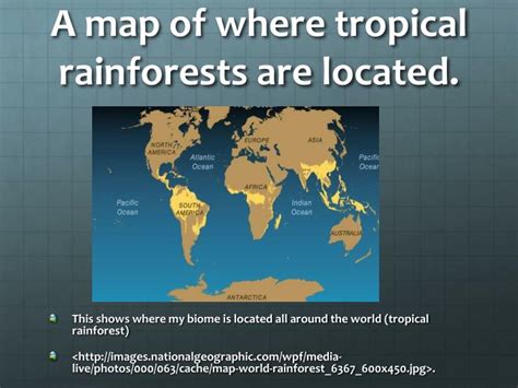 Ppt Tropical Rainforest Biomes Powerpoint Presentation Id2394266
