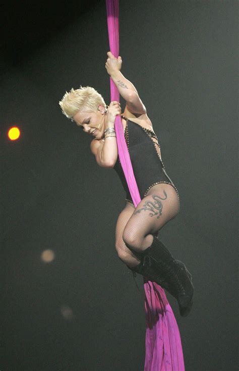 Singer Pink Pissing In Public And Sexy Concert Pictures Porn Pictures