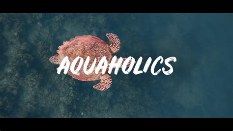 Aquaholics Youtube