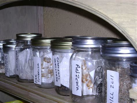 The final storage step is to freeze the seeds at minus 4 degrees fahrenheit (minus 20. Seed Storage - Growin Crazy Acres