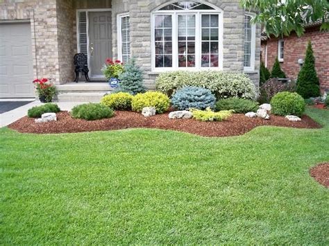 Evergreen Shrubs For Landscaping Swerving Garden Bed With Evergreen