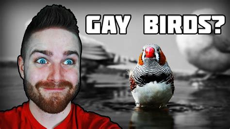 Check spelling or type a new query. Soylent Is Google Feud Answers / Google Feud | NeoGAF ...