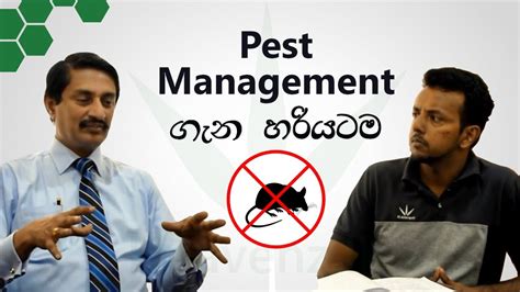 With a staff of over 10 years of experience in pest control, we are able to provide a safe and reliable service at a reasonalble price across sri lanka. Pest Control | Termites Control | Sri Lanka | in Sinhala ...