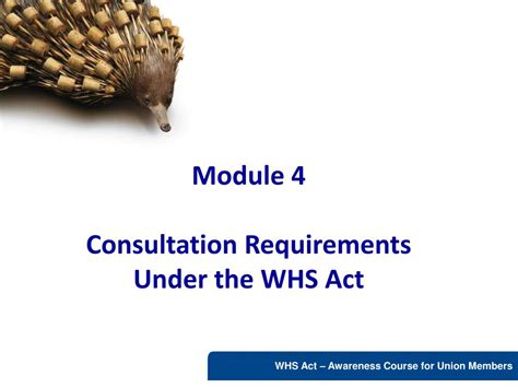 Ppt Module 4 Consultation Requirements Under The Whs Act Powerpoint