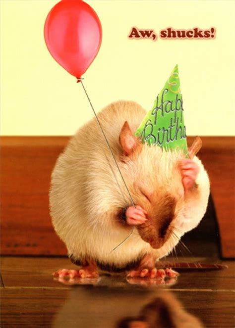 Designer Greetings Embarrassed Mouse With Hand On Head Funny Humorous