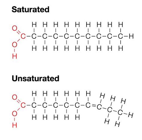 Polyunsaturated Fat Molecule