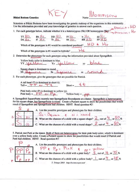 Use yourknowledge of genetics to explain why the early theories are incorrectd. 30 Genetics Worksheet Answer Key | Education Template