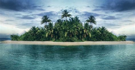 Will you survive on a deserted island? | Island survival, Island, Desert island