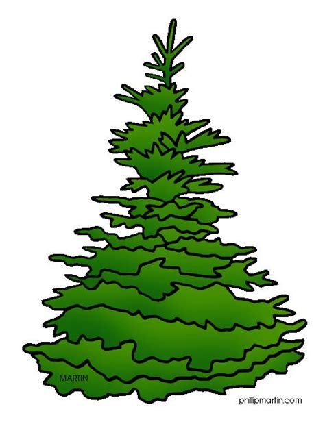 Utah State Tree Blue Spruce Mooie Prenten Pinterest