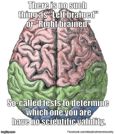 The Left Brainright Brain Skeptical Meme Society Facebook