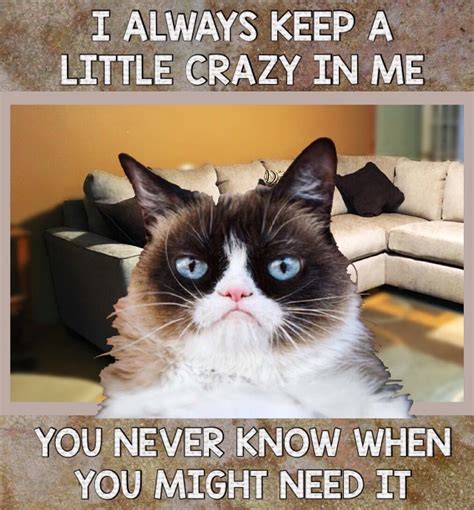 Savage Grumpy Cat Memes Factory Memes