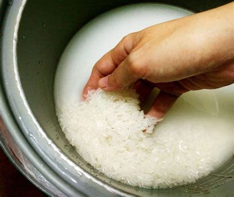 Should You Rinse Rice Before Using The Rice Cooker Kitchen Seer