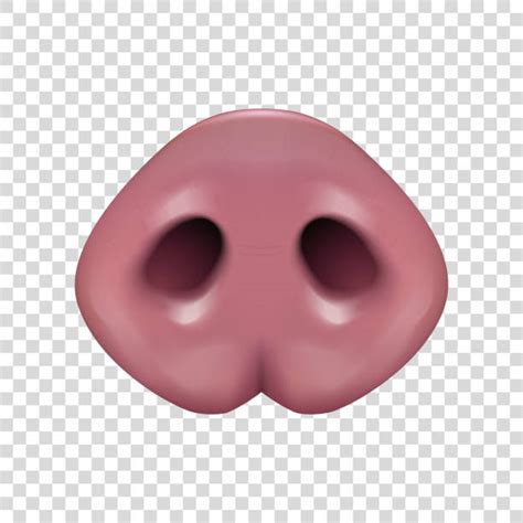Best Pig Nose Illustrations Royalty Free Vector Graphics