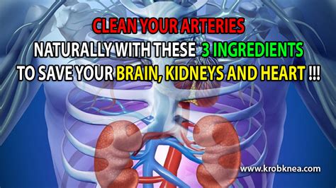 how to clean out plaque in arteries 3 ingredients mixture ~ krobknea