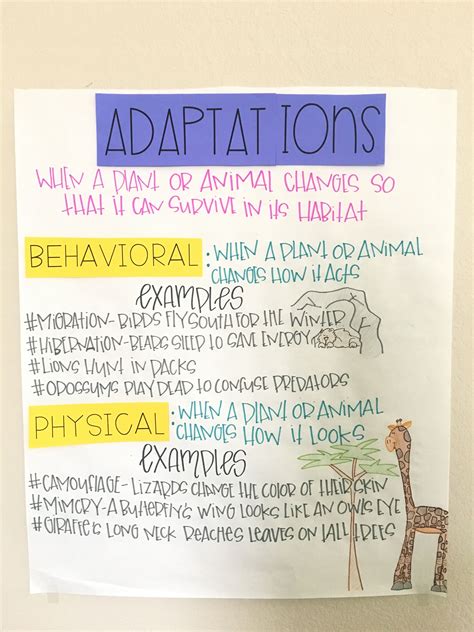 Animal Adaptations Article For Kids
