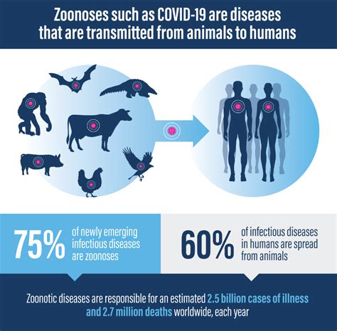 Zoonotic Diseases Its Impact And Control Asiana Times