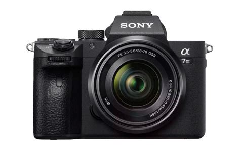 Sony A7 Iii Heres Your First Look At Images Taken With The New Camera