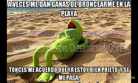 A Veces Me Dan Ganas De Broncearme En La Playa Frases De Buen Humor Memes De La Rana