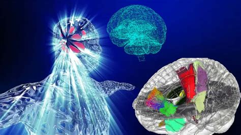 Researchers Built The First Holographic Atlas Of The Brain