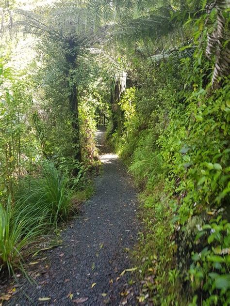 Pin By Heather Staal On Waikato Hiking Adventures Day Trips Country