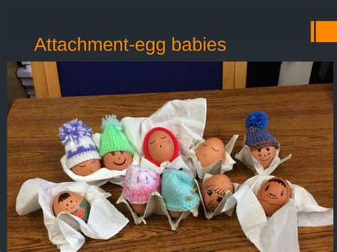 Aqa A Level Psychology Attachment Egg Babies Project Teaching Resources