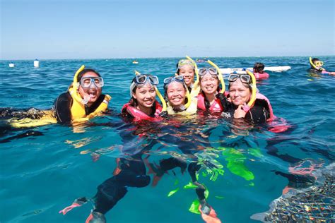 Great Barrier Reef Tour Great Adventures Cruises Cairns