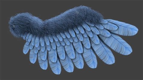 Quest For Photo Real Feathers Blender Tests Blender Artists Community
