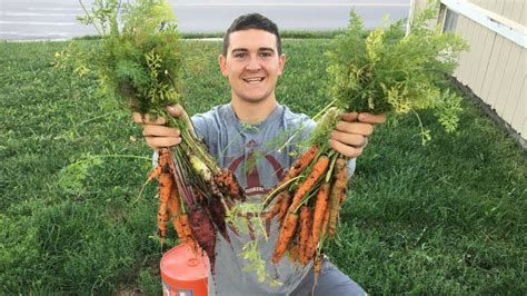2017 Bucket Garden Container Carrot Harvest Youtube