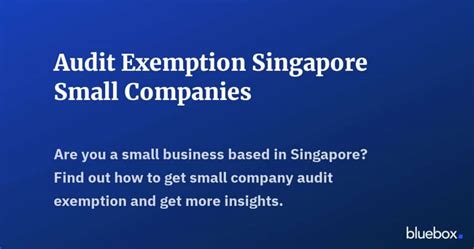 Audit Exemption Singapore Small Companies