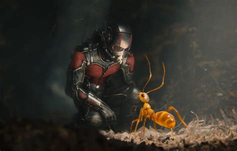 Обои муравей костюм шлем супергерой комикс Марвел Ant Man
