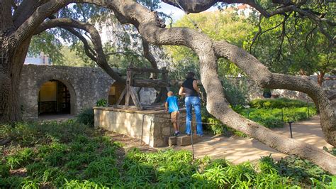The price is $119 per night from aug 22 to aug 22 $119. San Antonio Vacations 2017: Package & Save up to $603 ...