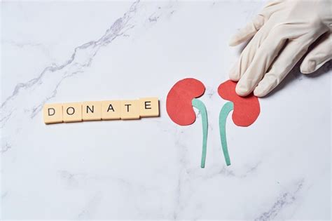 Premium Photo Organ Donation Concept Kidney Donation