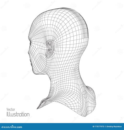 Head Of The Person From A 3d Grid Human Wire Model Polygon Face
