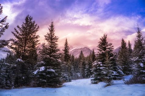 Nature Landscape Forest Winter Mountain Clouds Snow Pine Trees Alberta Canada Sunlight